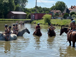 Letní hrátky s koňmi 2024 - jezdecký tábor