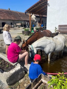 Letní hrátky s koňmi 2024 - jezdecký tábor + příměstský tábor
