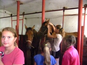 Letní tábory s koňmi 2017!!!