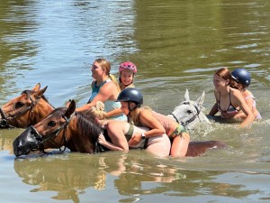 Letní hrátky s koňmi 2024 - jezdecký tábor