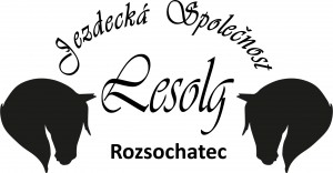 JS Statek Lesolg z.s.