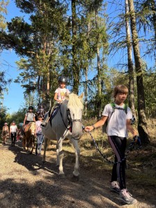 4 .Letní tábor s koňmi 2026