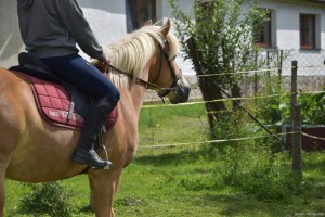 Letní hrátky s koňmi