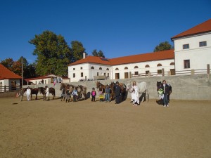 Jezdecký tábor na koni