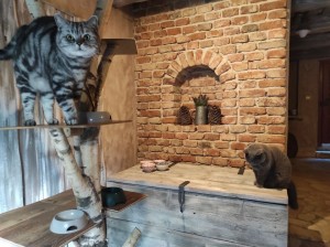 LETNÍ TÁBOR NA CHALOUPCE