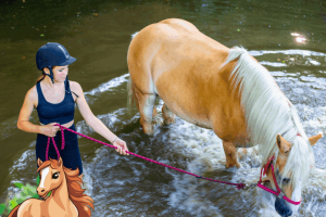 Jezdecký letní tábor