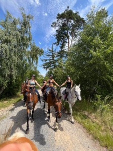 2.Letní tábor s koňmi 2026